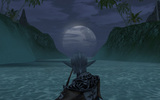 Moonlight_on_alligator_island