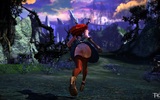 Tera_screenshot_20110122_141540