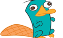 Platypus