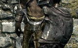 Falmerarmorskyrim