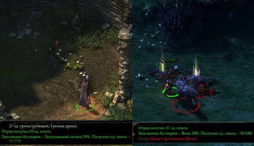 Pillars of Eternity - «Pillars of Eternity»  - впечатления нуба.