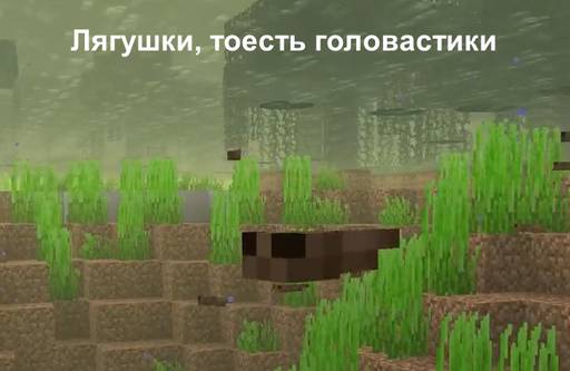 anna-valeeva97 - Бета-версия Minecraft PE 1.18.20.23 СКАЧАТЬ